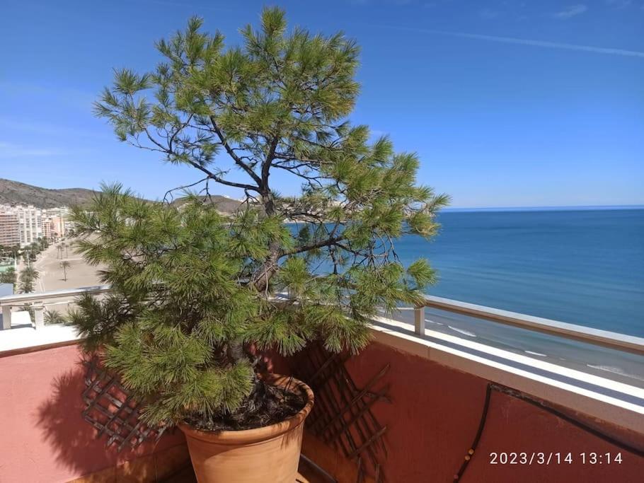 Appartamento Espectacular Terraza Y Vistas En 1A Linea De Playa Cullera Esterno foto