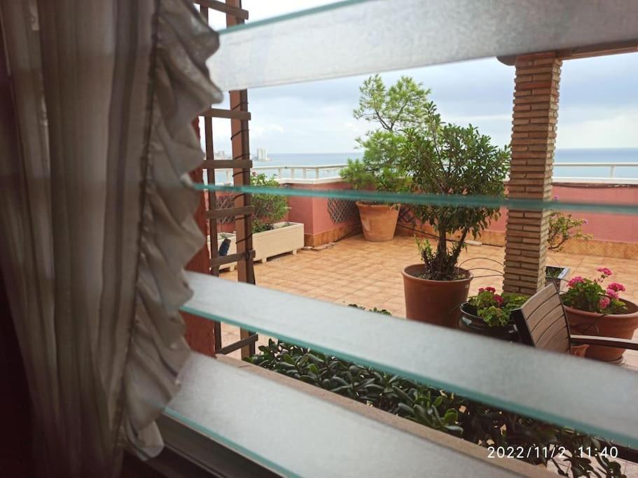 Appartamento Espectacular Terraza Y Vistas En 1A Linea De Playa Cullera Esterno foto